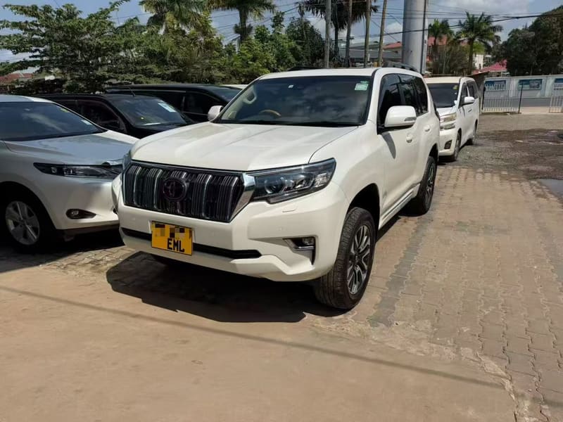 Toyota Land Cruiser Prado delivered to a JapanAuc buyer in Tanzania