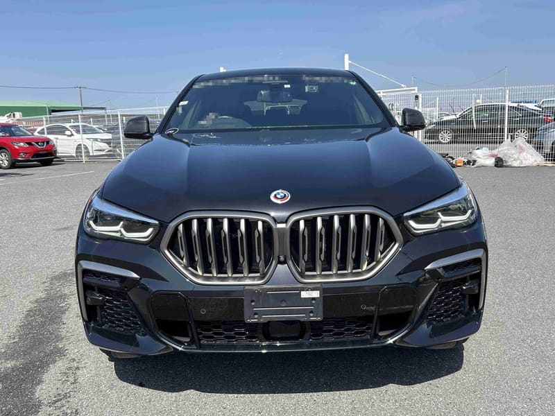 2023 BMW X6