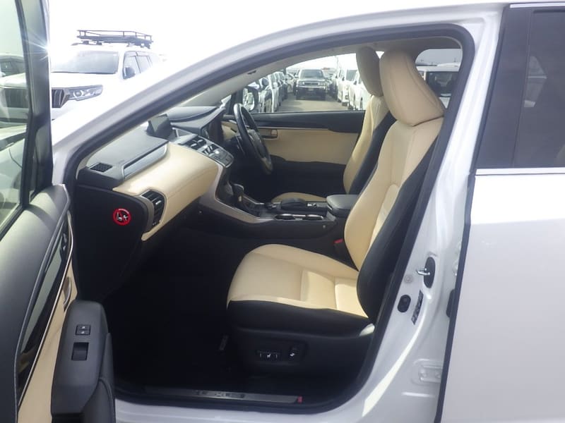 Lexus NX200t 5